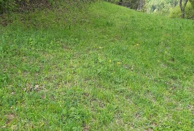Teren de 4525 mp, în Vidra - 1