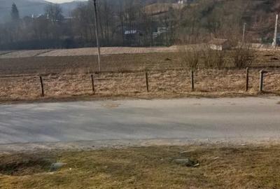 Teren de 7000 mp, în Ștubeie Tisa - 4