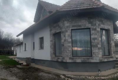 Casă cu 5 camere cu Teren 3000 Mp în Colonești - 1