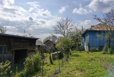Casă cu 3 camere cu Teren 10300 Mp în Central - 2