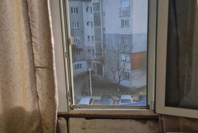 Apartament cu 2 camere în Brazda lui Novac - 5