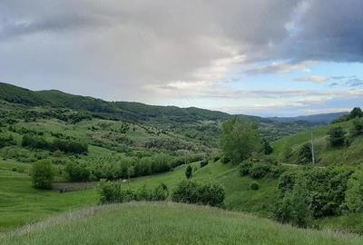 Teren de 5000 mp, în Chiojdu - 4