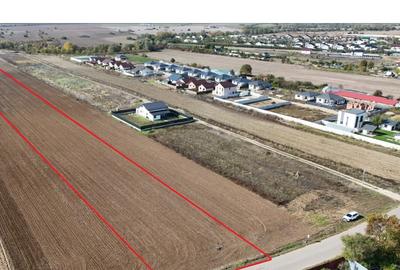 JOITA LOT 7344 MP JOITA LOT 7344 MP - 3