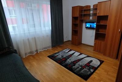 Apartament cu 2 camere decomandat, mobilat în Turnișor - 6
