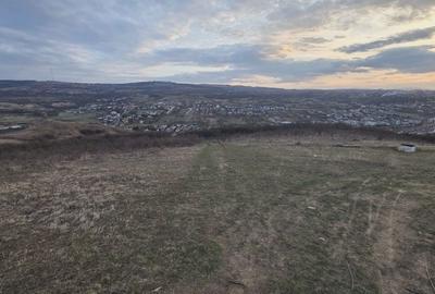 Spațiu comercial, în Florești - 3