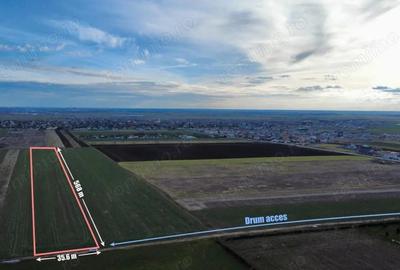 Teren de 20000 mp, în Sânandrei - 1