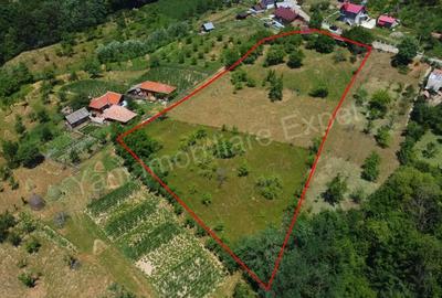 Teren de vanzare in comuna Cicane?ti, sat Bara?ti, jude? Arge?. - 14