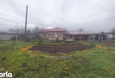 Casă cu 6 camere cu Teren 1760 Mp în Măldăeni - 8