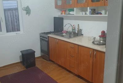 Casa de vanzare in sat Iliesti, com.Ionesti, jud.Gorj - 5