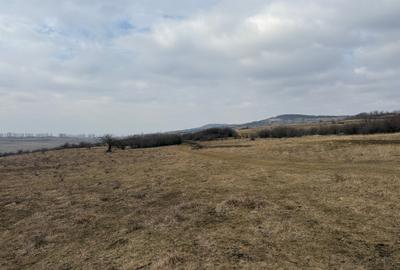 Teren agricol extravilan de vânzare – 67.500 mp – Dealul Daii, Sibiu - 6