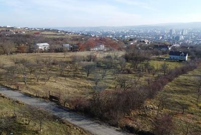 Teren agricol extravilan de 20146 mp, în Dâmbul Rotund - 4