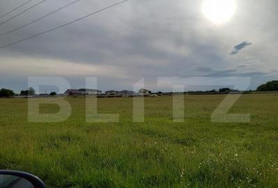 Teren de 1000 mp, în Central