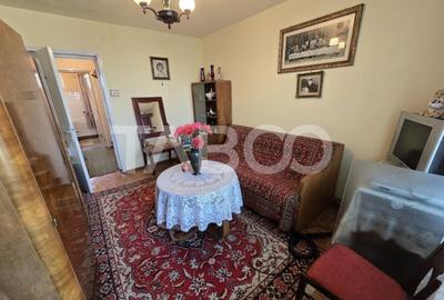 Apartament vanzare 2 camere 48 utili etaj intermediar Terezian Sibiu - 4