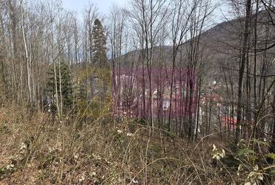 Teren în Central - 2