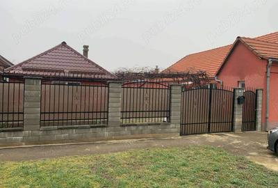 Casa de vanzare in Hodoni jud Timis Casa de vanzare in Hodoni jud Timis - 3