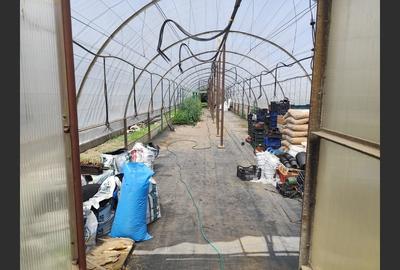 Casă Duplex 10 camere, Ploiești, zona Albert - 6