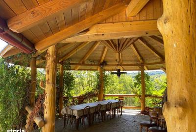 Casă cu 6 camere cu Teren 17000 Mp în Dumbrăvița - 1