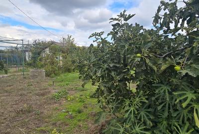 Casă individuală cu 4 camere cu Canalizare în Vadu - 22