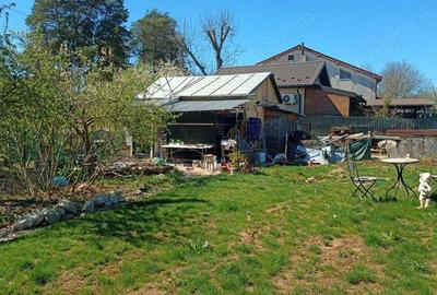 Casu?a cu teren , Ciolpani - Piscu - 2