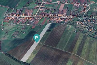 Teren intravilan + extravilan in Remetea Mica - 3