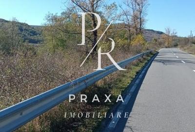 Teren agricol extravilan de 2250 mp, în Vultureni - 3