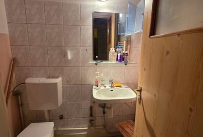 Titan, chiar la intrare in Parcul IOR, pe Lunca Bradului, la Scoala 195 - 8