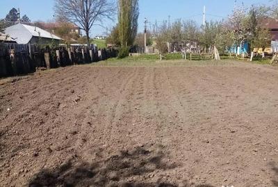 Teren de 700 mp, în Băcălești - 1