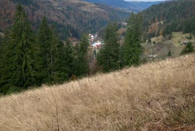 Teren de 3876 mp, în Gârda de Sus - 5