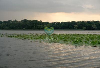 Teren Construcții intravilan de 12135 mp, în Snagov