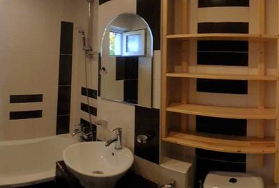 Apartament cu 2 camere decomandat, mobilat în Someșeni - 2