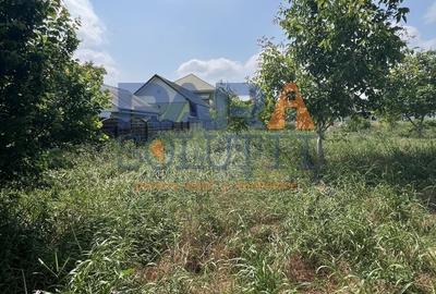 5200 mp intravilan - Str Viitorului (zona Abator) - 4