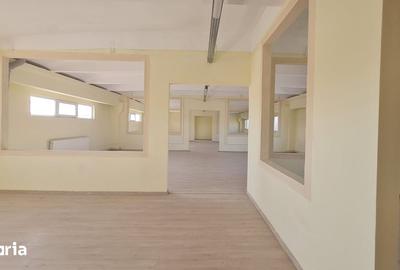 Spațiu comercial, de 258 mp, în Vest - 2