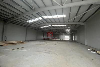 Depozit/hala/spatiu industrial Chiajna - Centura - Rudeni - 13