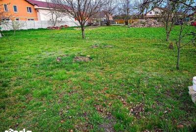 Teren de 1029 mp, în Moșnița Nouă - 3