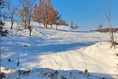 Teren de 3380 mp, în Șoimuș - 4