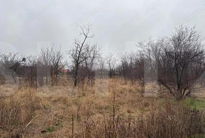 Casă cu Teren 1756 Mp în Sânpaul - 5