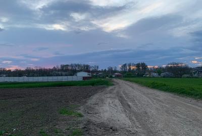 Teren Construcții intravilan de 10000 mp, în Afumați - 9