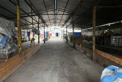 Oferta de vanzare ferma: hala de 500 mp.+teren 6500 mp, Frata, 69900 EURO - 5