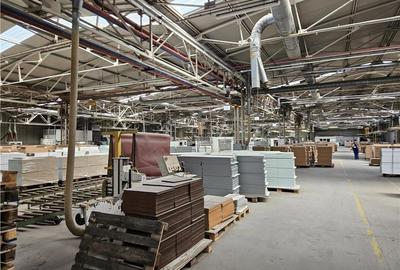 Spatiu Industrial -  2500 mp - Productie - Depozitare - Distributie - 6
