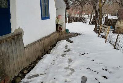 Casă cu 3 camere cu Teren 716 Mp în Central - 3