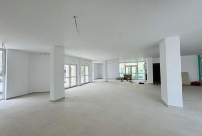 Spațiu comercial, de 290 mp, în Micălaca - 2