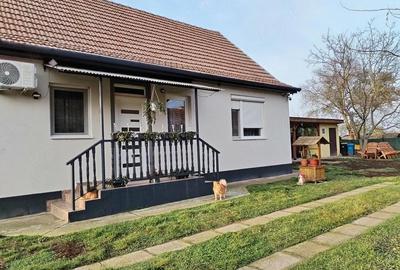 Casă cu 3 camere cu Teren 4200 Mp în Borș - 3