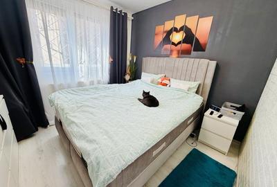 Apartament cu 2 camere semidecomandat, mobilat în Drumul Taberei - 1