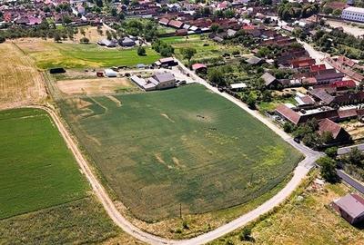6 loturi casa Maierus,1.375mp,langa DN13, Doripesco,Brasov: 35min, zona verde:FI - 10