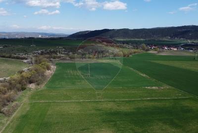 Teren Construcții extravilan de 8600 mp, în Luna de Jos - 18