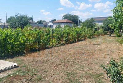 Casa situata in zona Cobadin, COMISION 0% - 10