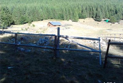 Teren de 1000 mp, în Curtea de Argeș - 4