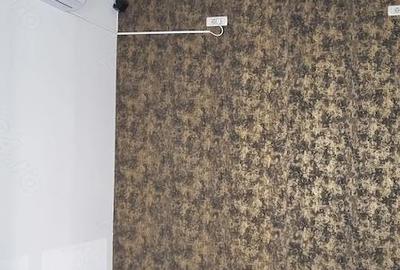 Spațiu comercial, de 67 mp, în Fălticeni - 2