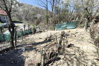 Casă cu Teren 300 Mp în Muncitoresc - 13