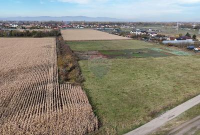 Comision 0% | Teren intravilan | Zona Bartolomeu-Lanii | 921 mp - 6